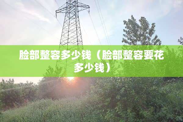 脸部整容多少钱（脸部整容要花多少钱）