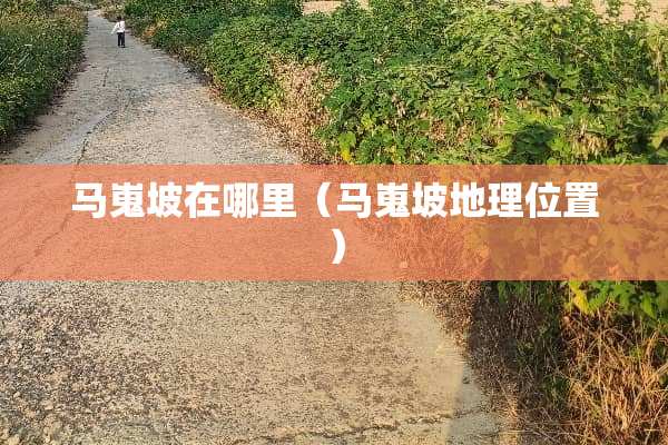 马嵬坡在哪里（马嵬坡地理位置）