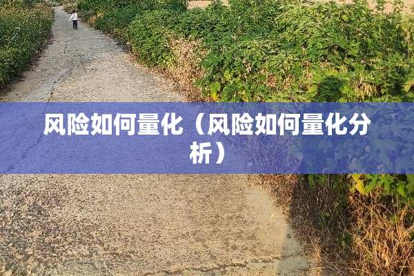 风险如何量化（风险如何量化分析）