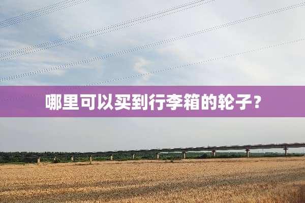 哪里可以买到行李箱的轮子？