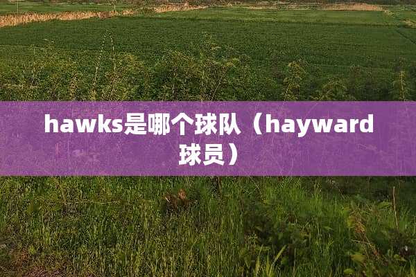 hawks是哪个球队（hayward球员）