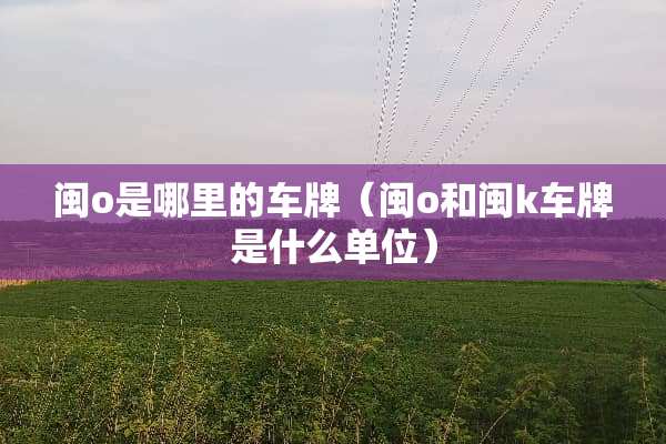 闽o是哪里的车牌（闽o和闽k车牌是什么单位）