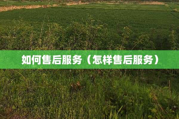如何售后服务（怎样售后服务）