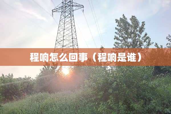 程响怎么回事（程响是谁）