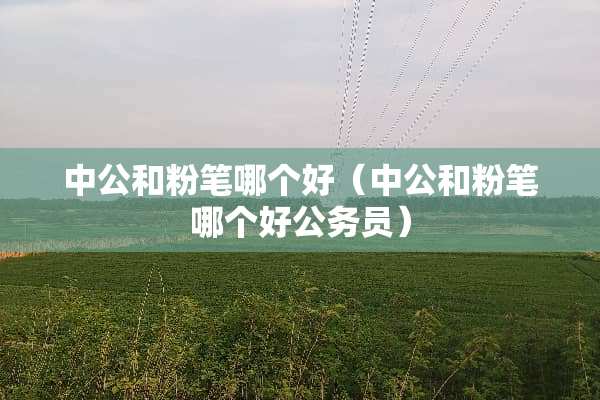 中公和粉笔哪个好（中公和粉笔哪个好公务员）