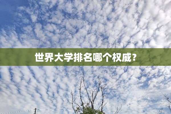 世界大学排名哪个权威？