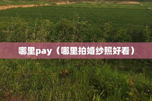 哪里pay（哪里拍婚纱照好看）