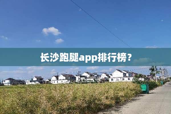 长沙跑腿app排行榜？