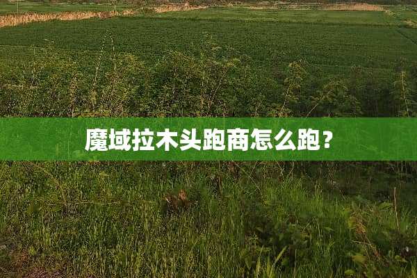 魔域拉木头跑商怎么跑？