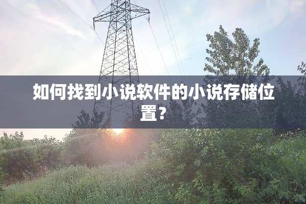 如何找到小说软件的小说存储位置？
