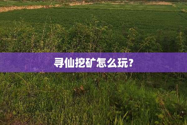 寻仙挖矿怎么玩？