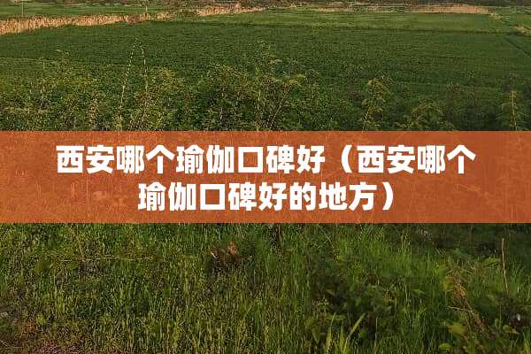 西安哪个瑜伽口碑好（西安哪个瑜伽口碑好的地方）