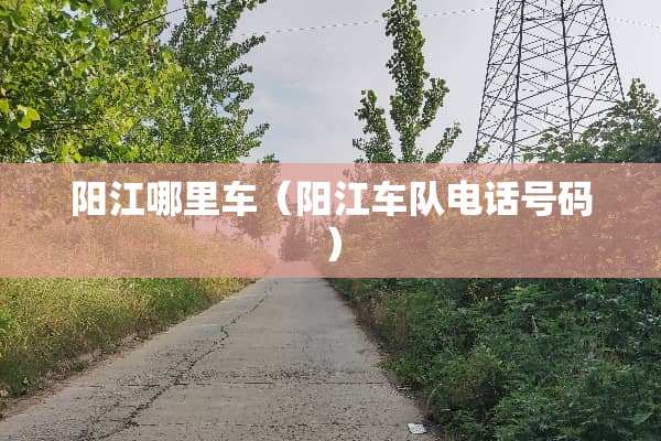 **哪里车（**车队电话号码）