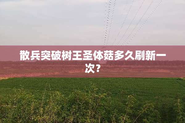散兵突破树王圣体菇多久刷新一次？