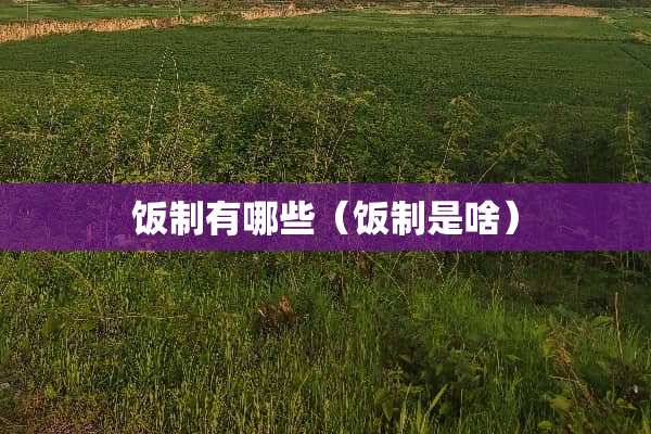 饭制有哪些（饭制是啥）