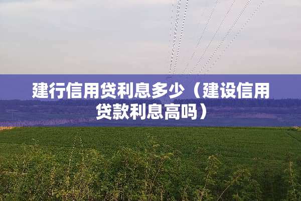 建行信用贷利息多少（建设信用贷款利息高吗）