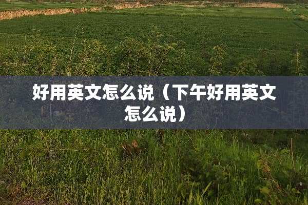 好用英文怎么说（下午好用英文怎么说）