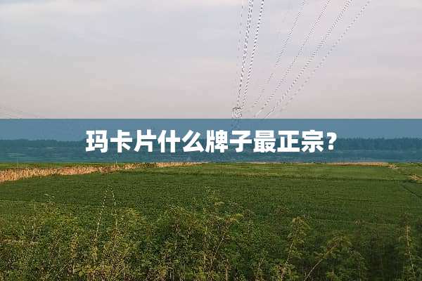 玛卡片什么牌子最正宗？