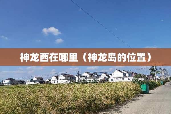神龙西在哪里（神龙岛的位置）