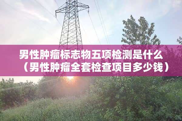 男性肿瘤标志物五项检测是什么（男性肿瘤**检查项目多少钱）