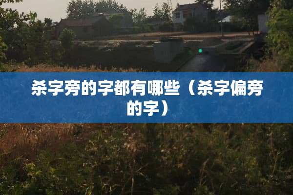 杀字旁的字都有哪些（杀字偏旁的字）