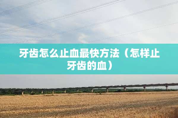 牙齿怎么止血最快方法（怎样止牙齿的血）