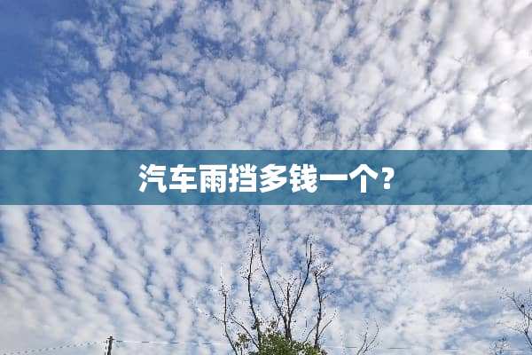 汽车雨挡多钱一个？