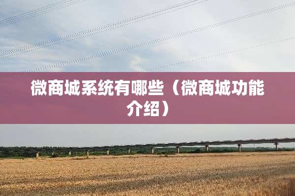 微商城系统有哪些（微商城功能介绍）