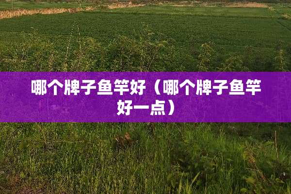 哪个牌子鱼竿好（哪个牌子鱼竿好一点）
