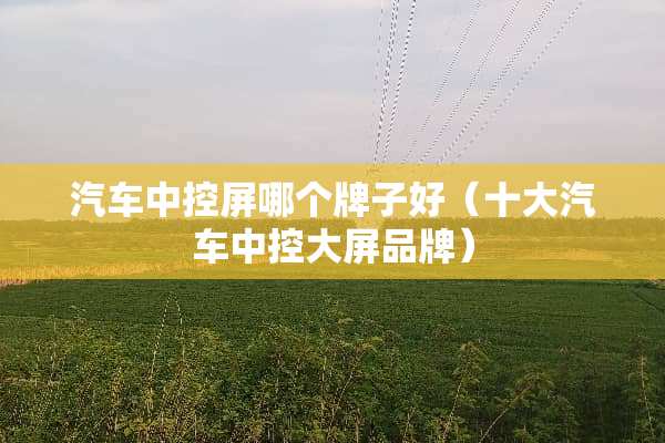 汽车中控屏哪个牌子好（十大汽车中控大屏品牌）