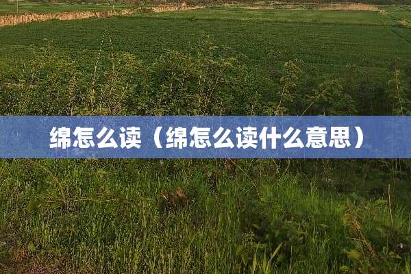 绵怎么读（绵怎么读什么意思）