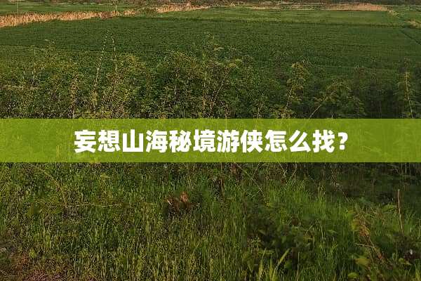 妄想山海秘境游侠怎么找？