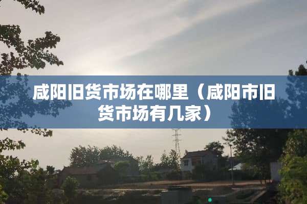 咸阳旧货市场在哪里（咸阳市旧货市场有几家）