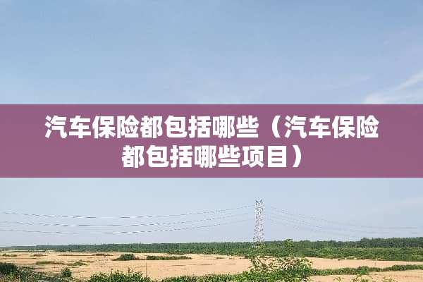 汽车保险都包括哪些（汽车保险都包括哪些项目）