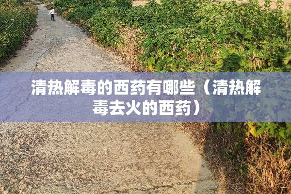 清热解毒的西药有哪些（清热解毒去火的西药）