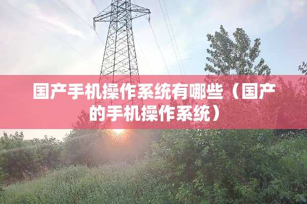 国产手机操作系统有哪些（国产的手机操作系统）