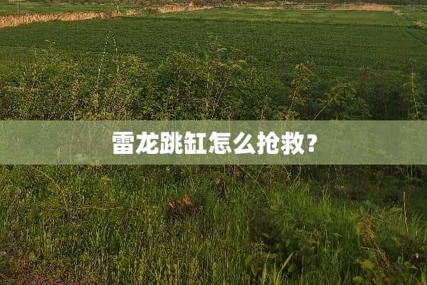 雷龙跳缸怎么抢救？