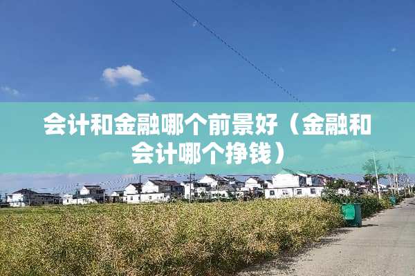 会计和金融哪个前景好（金融和会计哪个挣钱）