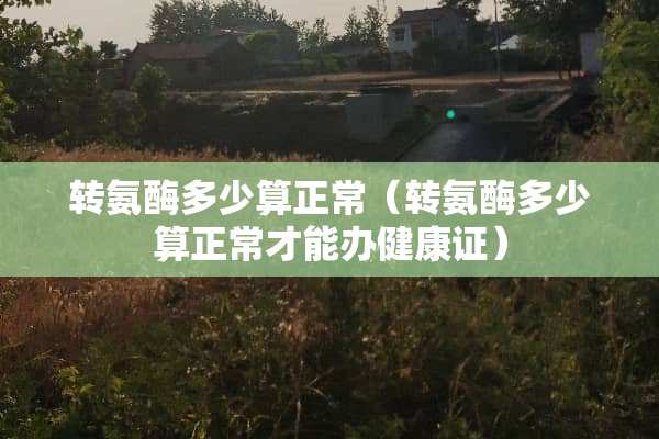 转氨酶多少算正常（转氨酶多少算正常才能办健康证）
