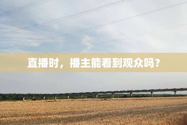 直播时，播主能看到观众吗？