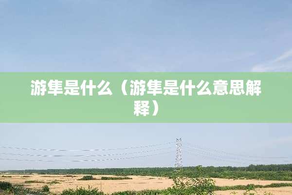 游隼是什么（游隼是什么意思解释）