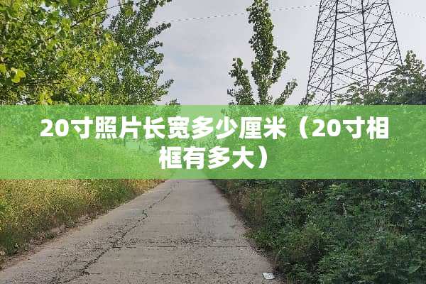 20寸照片长宽多少厘米（20寸相框有多大）
