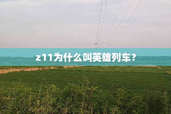 z11为什么叫英雄列车？