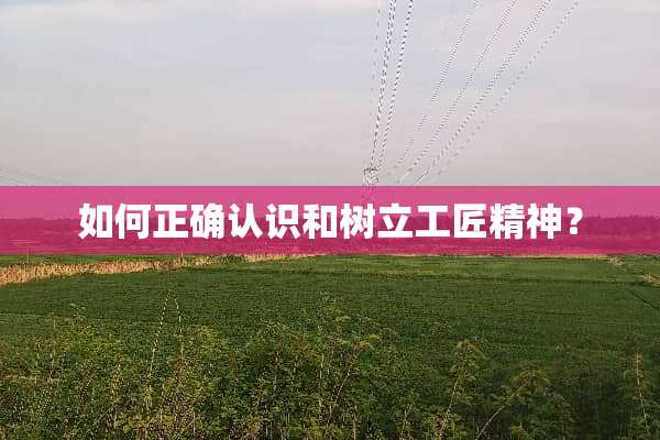 如何正确认识和树立工匠精神？