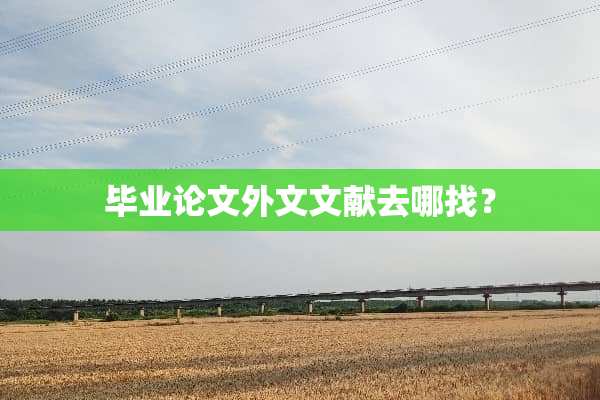 毕业论文外文文献去哪找？