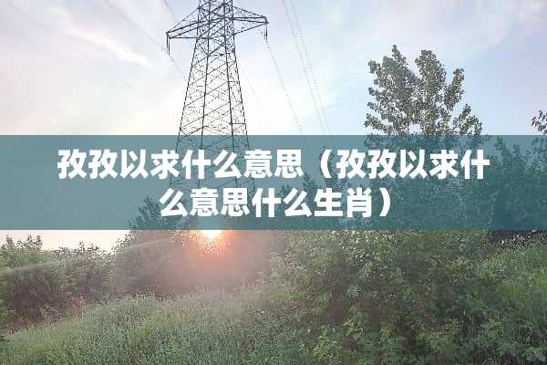 孜孜以求什么意思（孜孜以求什么意思什么生肖）