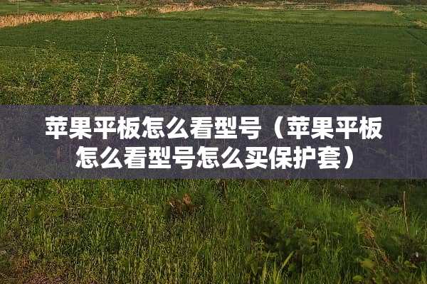 苹果平板怎么看型号（苹果平板怎么看型号怎么买保护套）