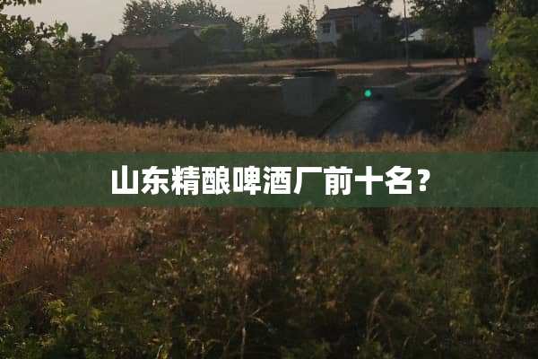 山东精酿啤酒厂前十名？
