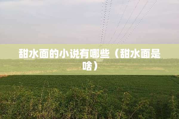 甜水面的小说有哪些（甜水面是啥）