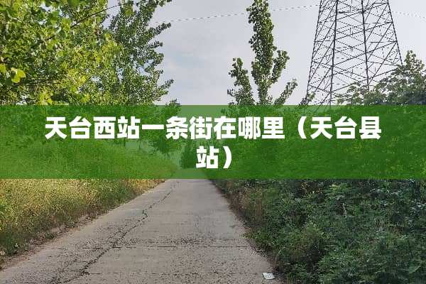天台西站一条街在哪里（天台县站）
